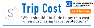 Buy travel protection from Travel Insured International