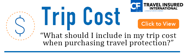 Buy travel protection from Travel Insured International