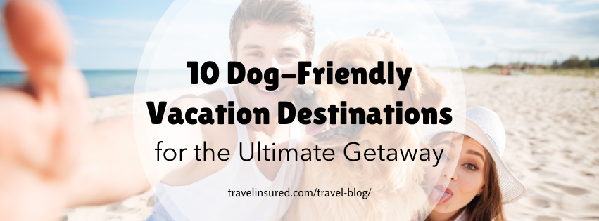 dog-friendly vacations